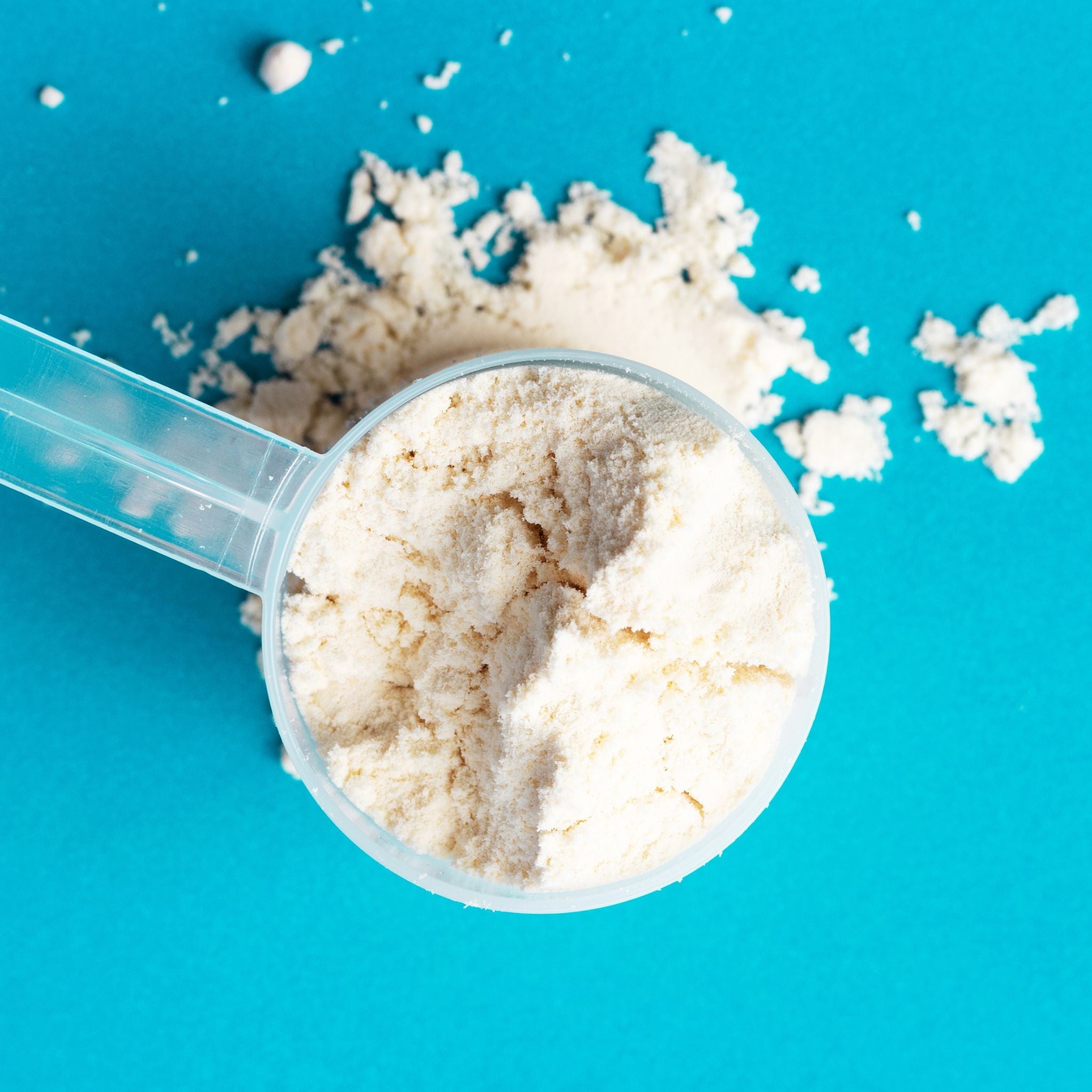 Protein & Performance